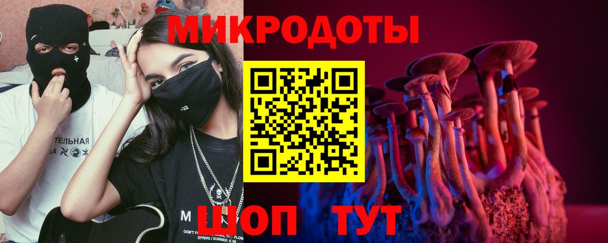 Галлюциногенные грибы прущие грибы  Вход с VPN  Кизляр 